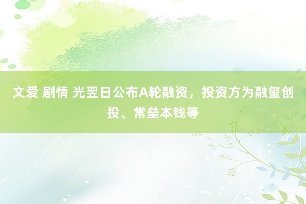 文爱 剧情 光翌日公布A轮融资，投资方为融玺创投、常垒本钱等