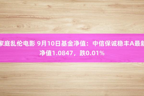 家庭乱伦电影 9月10日基金净值：中信保诚稳丰A最新净值1.0847，跌0.01%