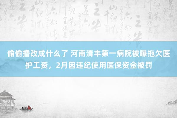 偷偷撸改成什么了 河南清丰第一病院被曝拖欠医护工资，2月因违纪使用医保资金被罚