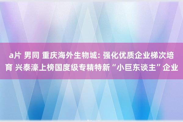 a片 男同 重庆海外生物城: 强化优质企业梯次培育 兴泰濠上榜国度级专精特新“小巨东谈主”企业