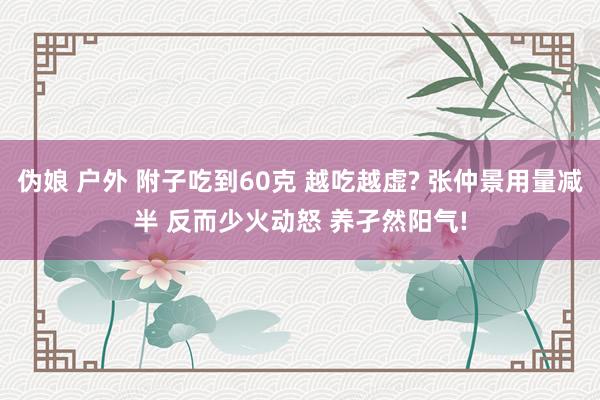 伪娘 户外 附子吃到60克 越吃越虚? 张仲景用量减半 反而少火动怒 养孑然阳气!