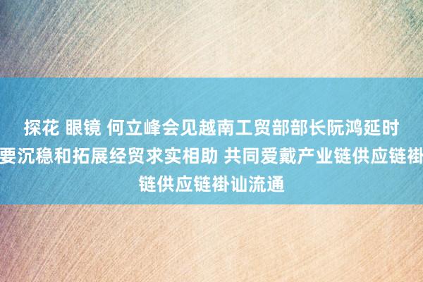 探花 眼镜 何立峰会见越南工贸部部长阮鸿延时指出：要沉稳和拓展经贸求实相助 共同爱戴产业链供应链褂讪流通