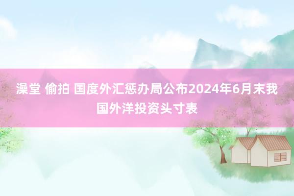 澡堂 偷拍 国度外汇惩办局公布2024年6月末我国外洋投资头寸表