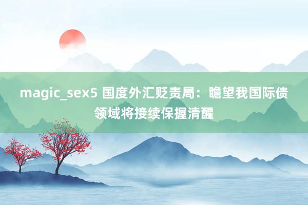 magic_sex5 国度外汇贬责局：瞻望我国际债领域将接续保握清醒