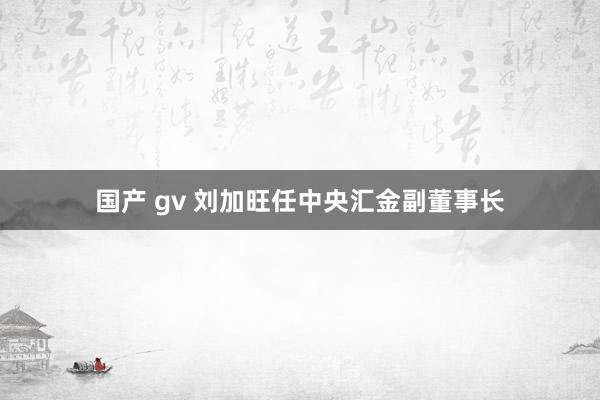 国产 gv 刘加旺任中央汇金副董事长