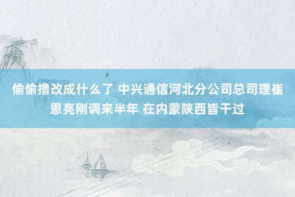 偷偷撸改成什么了 中兴通信河北分公司总司理崔恩亮刚调来半年 在内蒙陕西皆干过