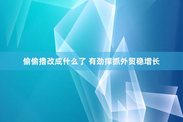 偷偷撸改成什么了 有劲撑抓外贸稳增长