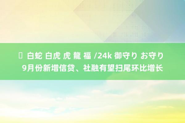 ✨白蛇 白虎 虎 龍 福 /24k 御守り お守り 9月份新增信贷、社融有望扫尾环比增长