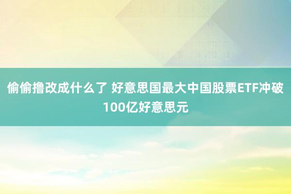 偷偷撸改成什么了 好意思国最大中国股票ETF冲破100亿好意思元