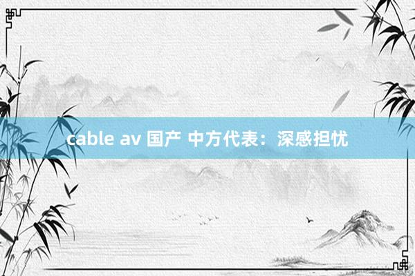 cable av 国产 中方代表：深感担忧