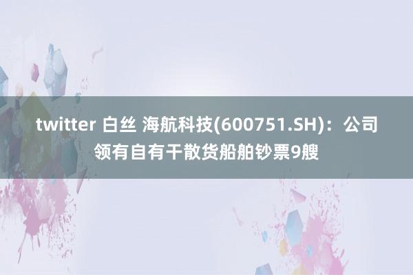 twitter 白丝 海航科技(600751.SH)：公司领有自有干散货船舶钞票9艘