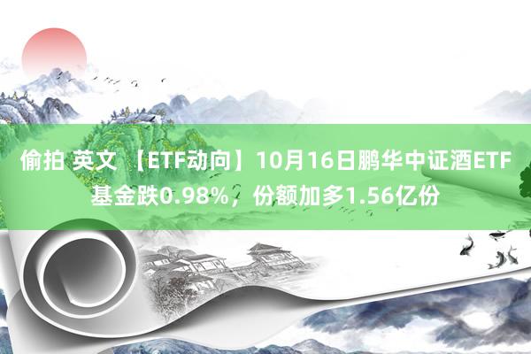 偷拍 英文 【ETF动向】10月16日鹏华中证酒ETF基金跌0.98%，份额加多1.56亿份