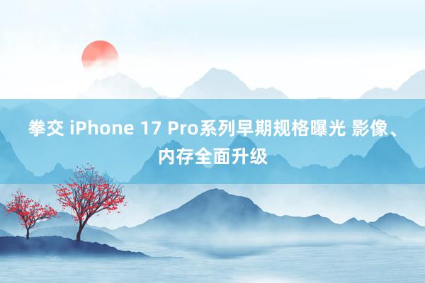 拳交 iPhone 17 Pro系列早期规格曝光 影像、内存全面升级