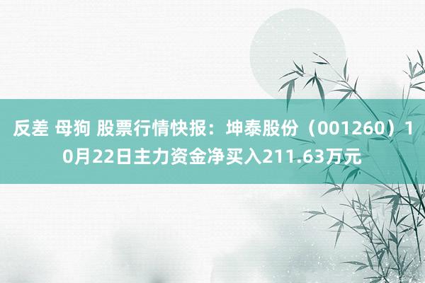 反差 母狗 股票行情快报：坤泰股份（001260）10月22日主力资金净买入211.63万元