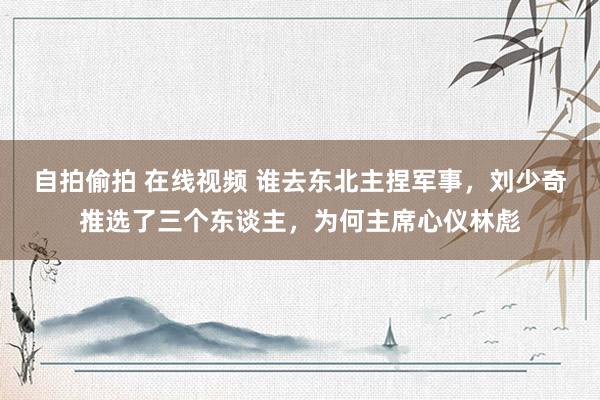 自拍偷拍 在线视频 谁去东北主捏军事，刘少奇推选了三个东谈主，为何主席心仪林彪