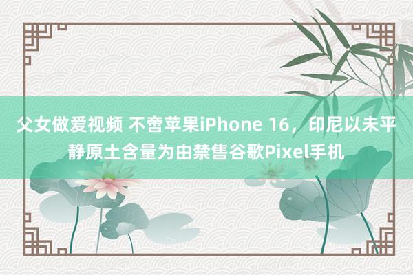 父女做爱视频 不啻苹果iPhone 16，印尼以未平静原土含量为由禁售谷歌Pixel手机