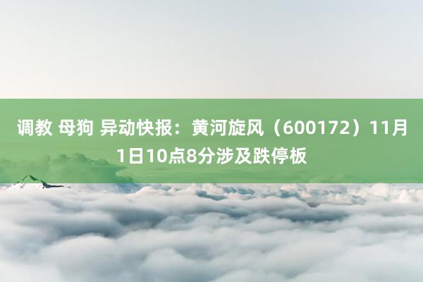 调教 母狗 异动快报：黄河旋风（600172）11月1日10点8分涉及跌停板