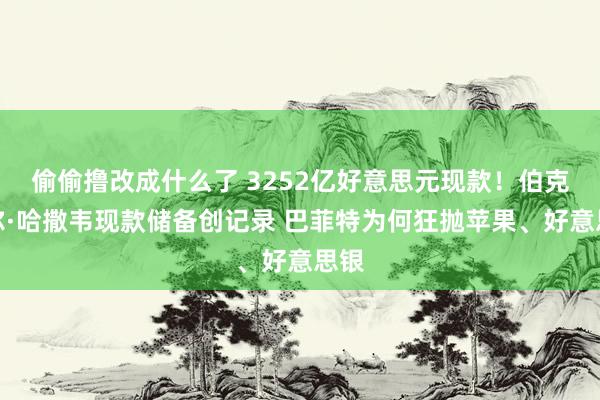 偷偷撸改成什么了 3252亿好意思元现款！伯克希尔·哈撒韦现款储备创记录 巴菲特为何狂抛苹果、好意思银