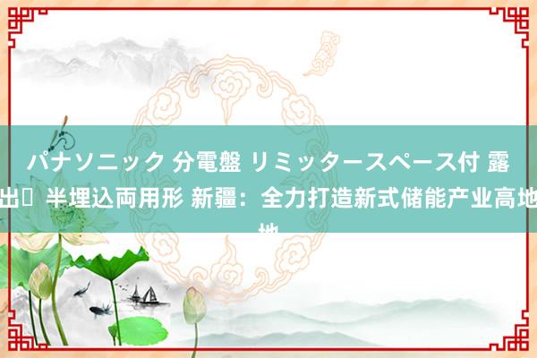 パナソニック 分電盤 リミッタースペース付 露出・半埋込両用形 新疆：全力打造新式储能产业高地