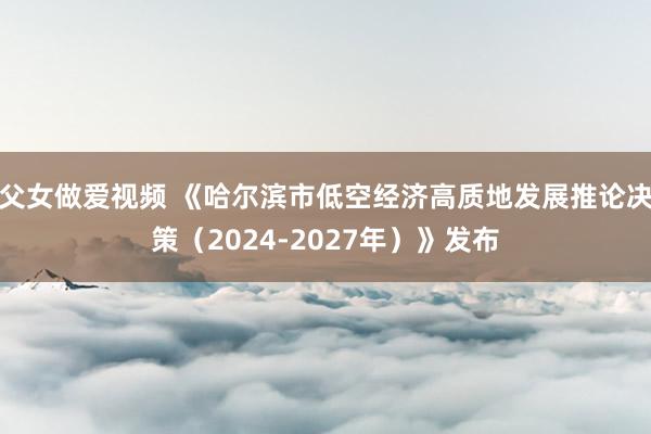 父女做爱视频 《哈尔滨市低空经济高质地发展推论决策（2024-2027年）》发布