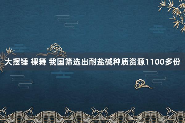 大摆锤 裸舞 我国筛选出耐盐碱种质资源1100多份