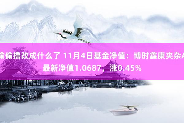 偷偷撸改成什么了 11月4日基金净值：博时鑫康夹杂A最新净值1.0687，涨0.45%