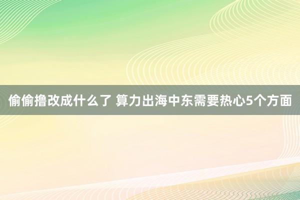 偷偷撸改成什么了 算力出海中东需要热心5个方面