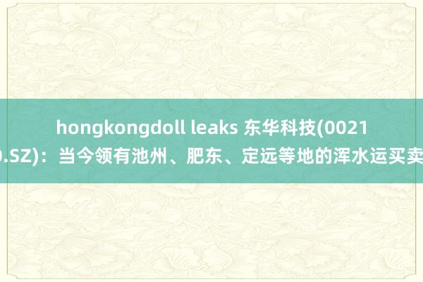 hongkongdoll leaks 东华科技(002140.SZ)：当今领有池州、肥东、定远等地的浑水运买卖务