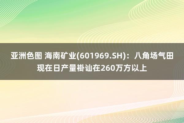 亚洲色图 海南矿业(601969.SH)：八角场气田现在日产量褂讪在260万方以上