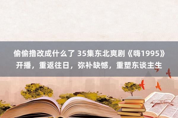 偷偷撸改成什么了 35集东北爽剧《嗨1995》开播，重返往日，弥补缺憾，重塑东谈主生