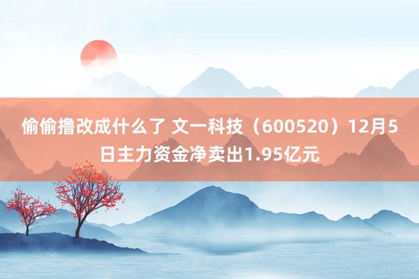 偷偷撸改成什么了 文一科技（600520）12月5日主力资金净卖出1.95亿元