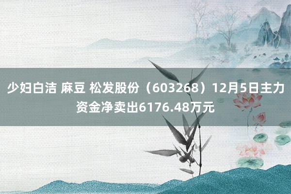 少妇白洁 麻豆 松发股份（603268）12月5日主力资金净卖出6176.48万元