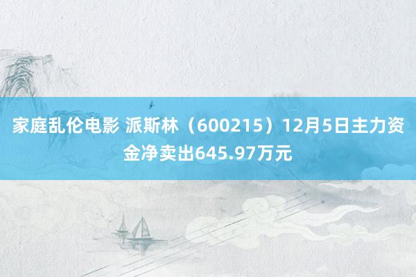 家庭乱伦电影 派斯林（600215）12月5日主力资金净卖出645.97万元