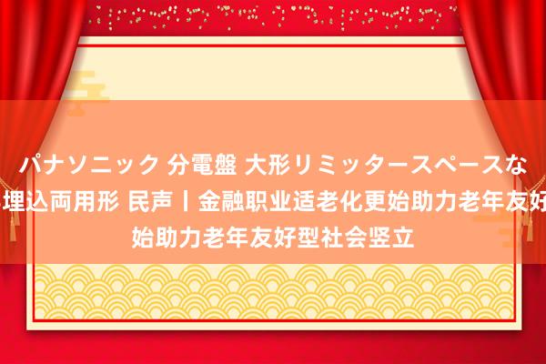 パナソニック 分電盤 大形リミッタースペースなし 露出・半埋込両用形 民声丨金融职业适老化更始助力老年友好型社会竖立