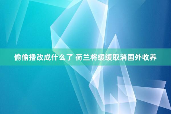 偷偷撸改成什么了 荷兰将缓缓取消国外收养