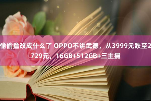 偷偷撸改成什么了 OPPO不讲武德，从3999元跌至2729元，16GB+512GB+三主摄