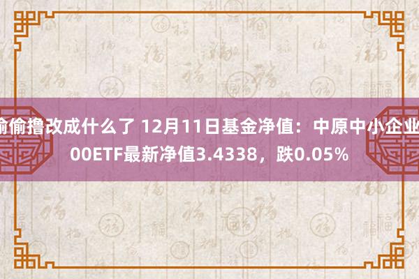 偷偷撸改成什么了 12月11日基金净值：中原中小企业100ETF最新净值3.4338，跌0.05%