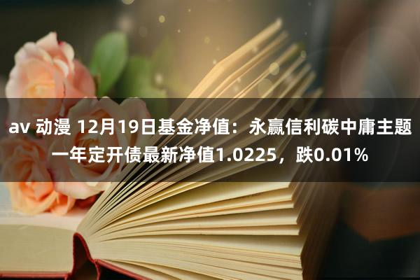 av 动漫 12月19日基金净值：永赢信利碳中庸主题一年定开债最新净值1.0225，跌0.01%