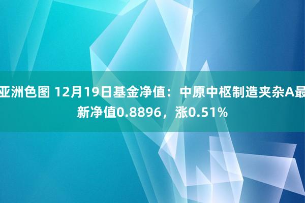 亚洲色图 12月19日基金净值：中原中枢制造夹杂A最新净值0.8896，涨0.51%