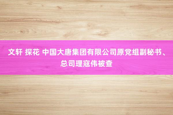 文轩 探花 中国大唐集团有限公司原党组副秘书、总司理寇伟被查