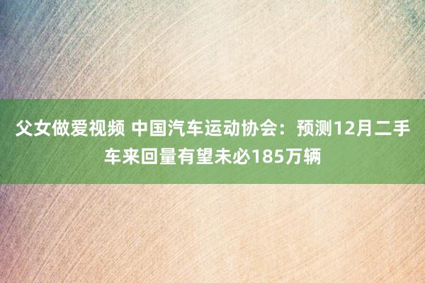 父女做爱视频 中国汽车运动协会：预测12月二手车来回量有望未必185万辆