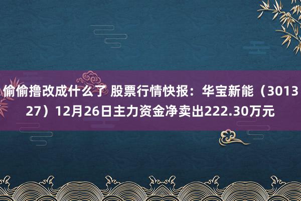 偷偷撸改成什么了 股票行情快报：华宝新能（301327）12月26日主力资金净卖出222.30万元