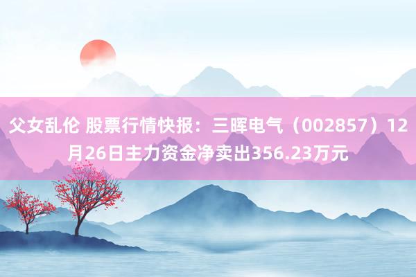 父女乱伦 股票行情快报：三晖电气（002857）12月26日主力资金净卖出356.23万元