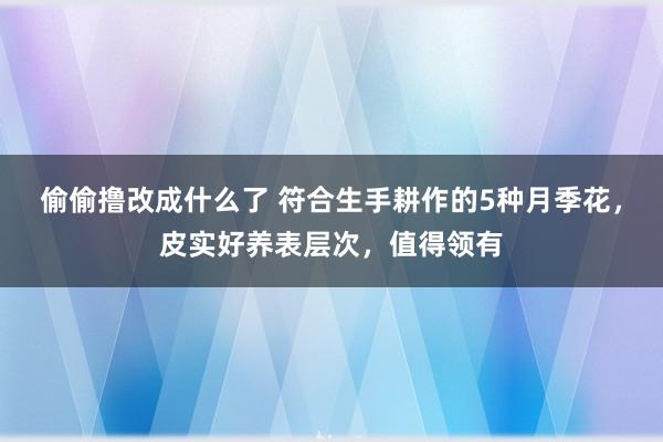 偷偷撸改成什么了 符合生手耕作的5种月季花，皮实好养表层次，值得领有