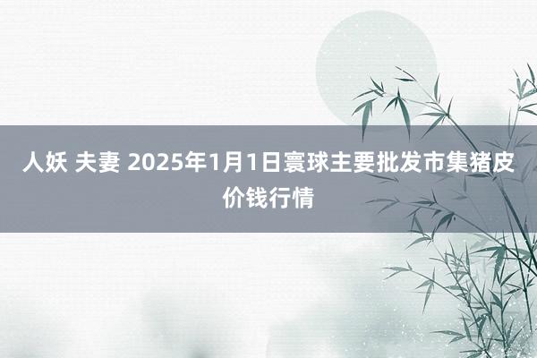 人妖 夫妻 2025年1月1日寰球主要批发市集猪皮价钱行情