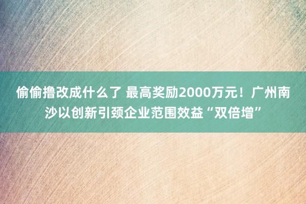 偷偷撸改成什么了 最高奖励2000万元！广州南沙以创新引颈企业范围效益“双倍增”