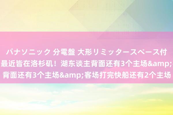 パナソニック 分電盤 大形リミッタースペース付 露出・半埋込両用形 最近皆在洛杉矶！湖东谈主背面还有3个主场&客场打完快船还有2个主场