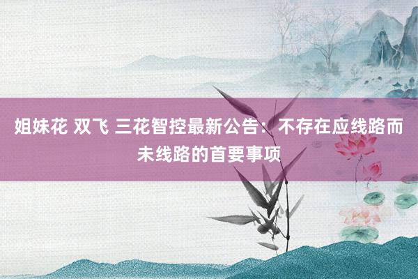 姐妹花 双飞 三花智控最新公告：不存在应线路而未线路的首要事项