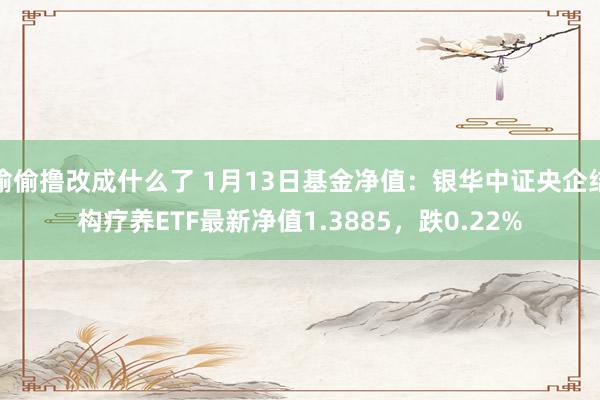 偷偷撸改成什么了 1月13日基金净值：银华中证央企结构疗养ETF最新净值1.3885，跌0.22%