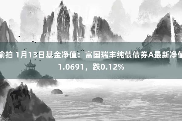 偷拍 1月13日基金净值：富国瑞丰纯债债券A最新净值1.0691，跌0.12%